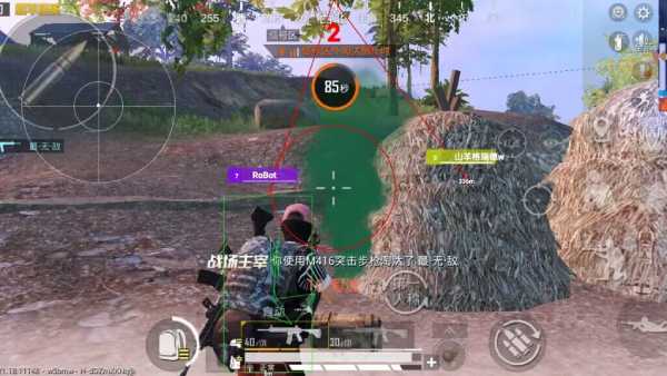 和平精英辅助【兵王】